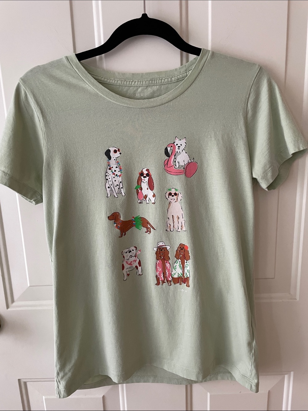 J Crew Graphic Dog  Tee in Light Sage Size S   Resort Beach Casual
